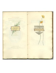 Limitation Page