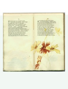 Page 35 Opening with Watercolor