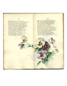 Page 41 Opening with Watercolor