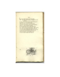 Page 45 Mounted Etching