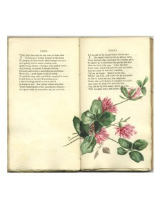 Page 57 Opening with Watercolor