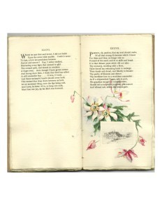 Page 61 Combination Mounted Etching with Watercolor