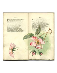 Page 48 & 49 Opening with Watercolor