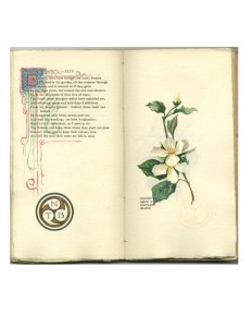 Page 68 & 69 Colored Initial, Watercolor & Artist's Initials