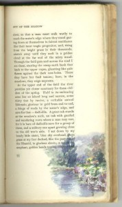 Open book with text and watercolor illustration.