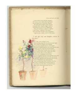 Page 176 with trained rose bushes in pots.