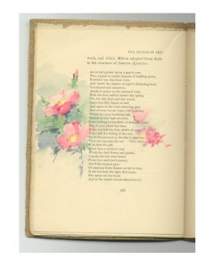 Page 188 with pink primroses.